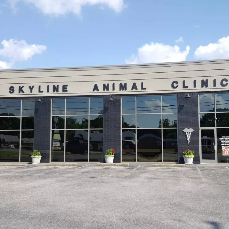 Skyline Animal Clinic, Kentucky, Hopkinsville